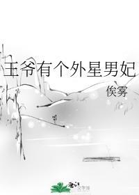 王爷有个外星男妃封面