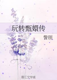 玩转甄嬛传封面