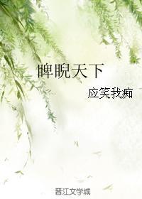 睥睨天下封面