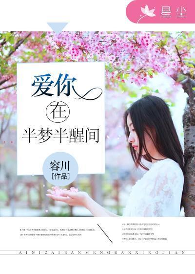 爱你在半梦半醒间封面