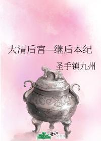 大清后宫—继后本纪封面