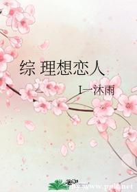 理想恋人封面