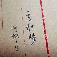 玄和梦封面