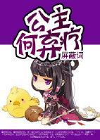 公主，何弃疗封面