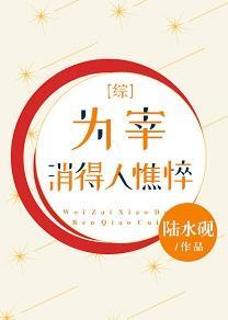 为宰消得人憔悴封面