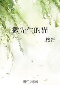 微先生的猫封面
