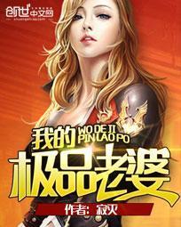 我的极品老婆封面