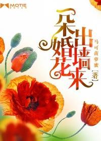 一朵婚花出墻来封面