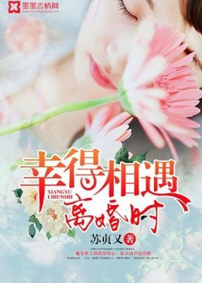 难辞情深封面