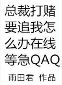 总裁打赌要追我怎么办在线等急封面