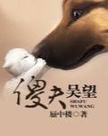 傻夫吴望封面