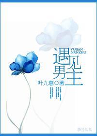 遇见男主封面