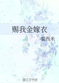 赐我金嫁衣封面