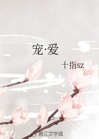 宠·爱封面