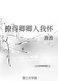 撩得卿卿入我怀封面
