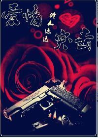 爱情突击封面