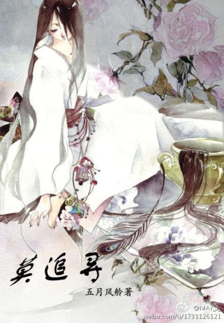 莫追寻封面