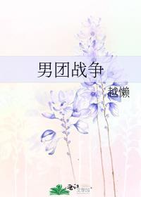 男团战争封面