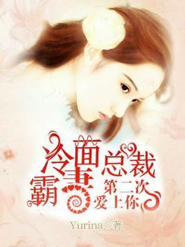 冷面总裁霸妻:第二次爱上你封面