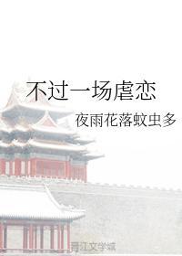 不过一场虐恋封面