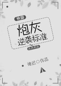 炮灰逆袭标准(快穿)封面