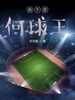 我不是何球王封面