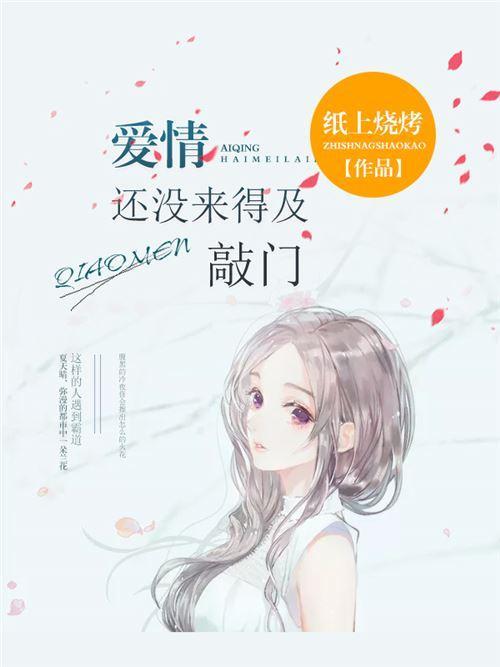 爱情还没来得及敲门封面