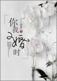 你我二婚时封面