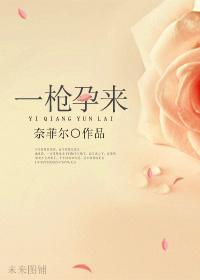 一枪孕来封面