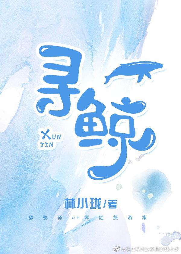 寻鲸封面