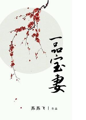 一品宝妻封面