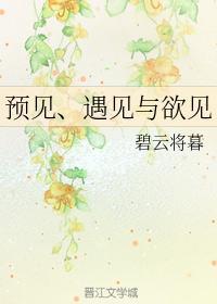 预见、遇见与欲见封面