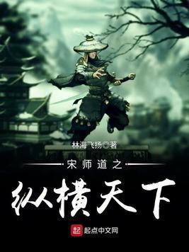 宋师道之纵横天下封面