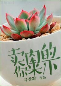 卖肉的你来一下封面