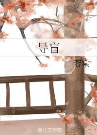 导盲封面