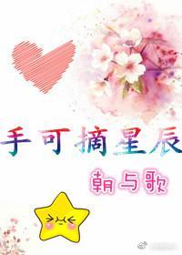 手可摘星辰封面