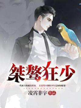 桀骜狂少封面