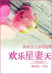 欢乐星妻天封面