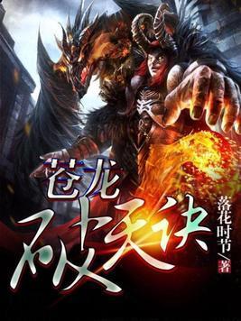 苍龙破天诀封面