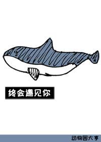 终会遇见你封面