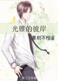 光锥的彼岸封面