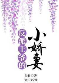 反派王爷的小娇妻封面