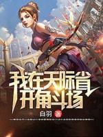 我在天际省开角斗场封面
