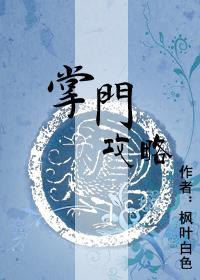 掌门攻略封面