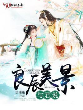 良辰美景与君说封面