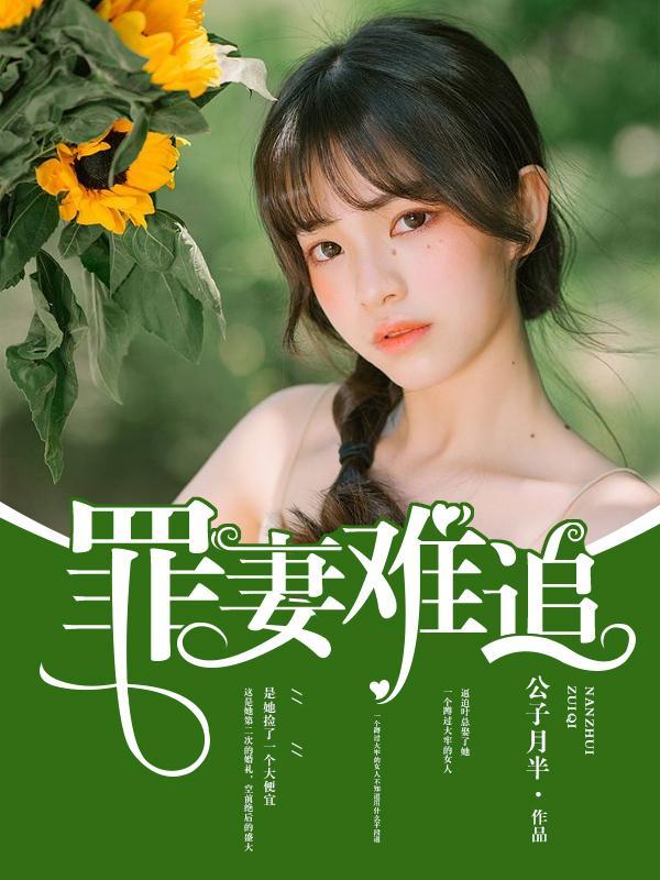 罪妻难追封面