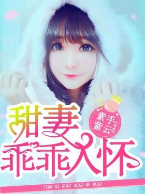 甜妻乖乖入怀封面