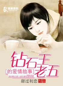 钻石王老五的爱情故事封面