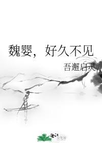 魏婴，好久不见封面