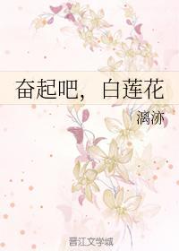 奋起吧,白莲花封面